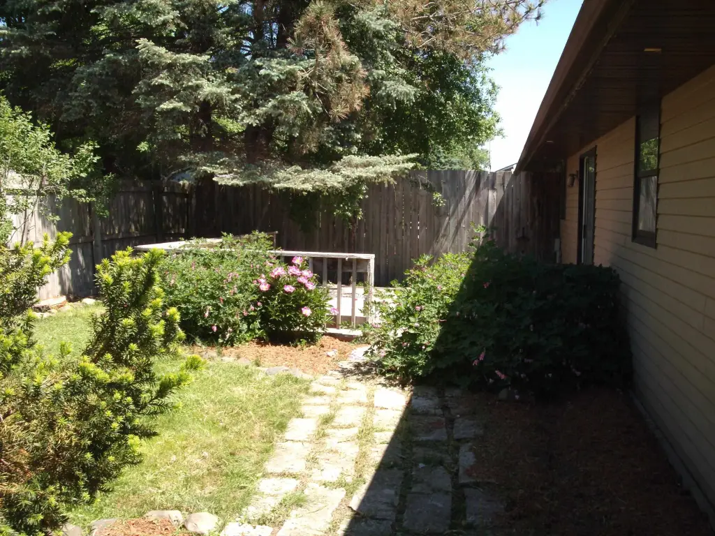 Picture 15