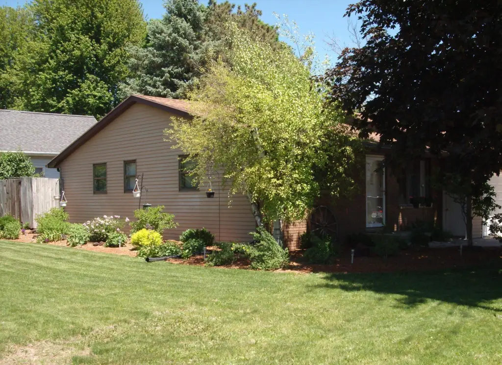 Picture 19