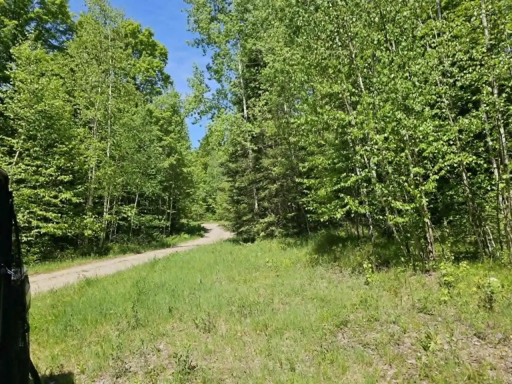 Picture 27