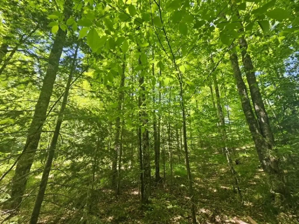 Picture 11