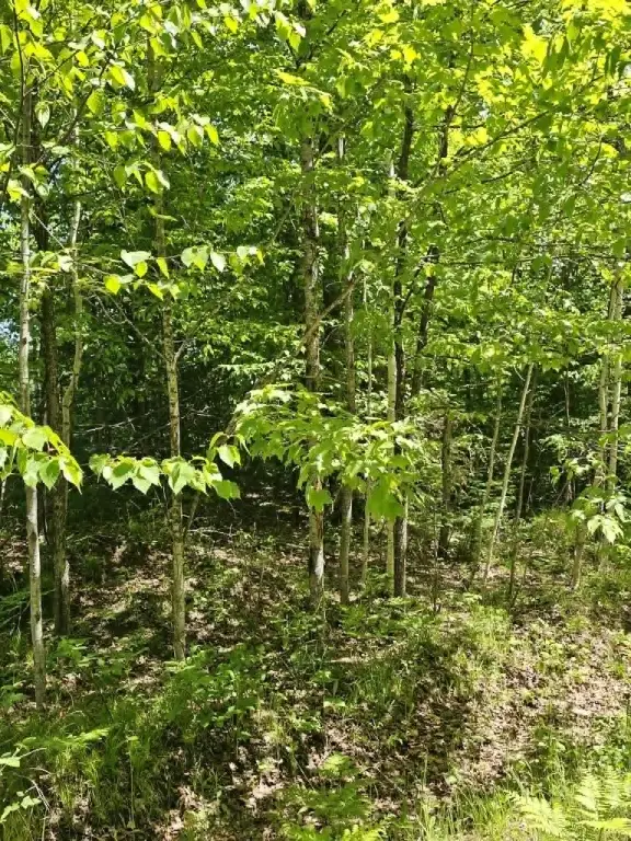 Picture 16