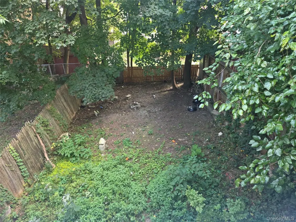 Picture 6