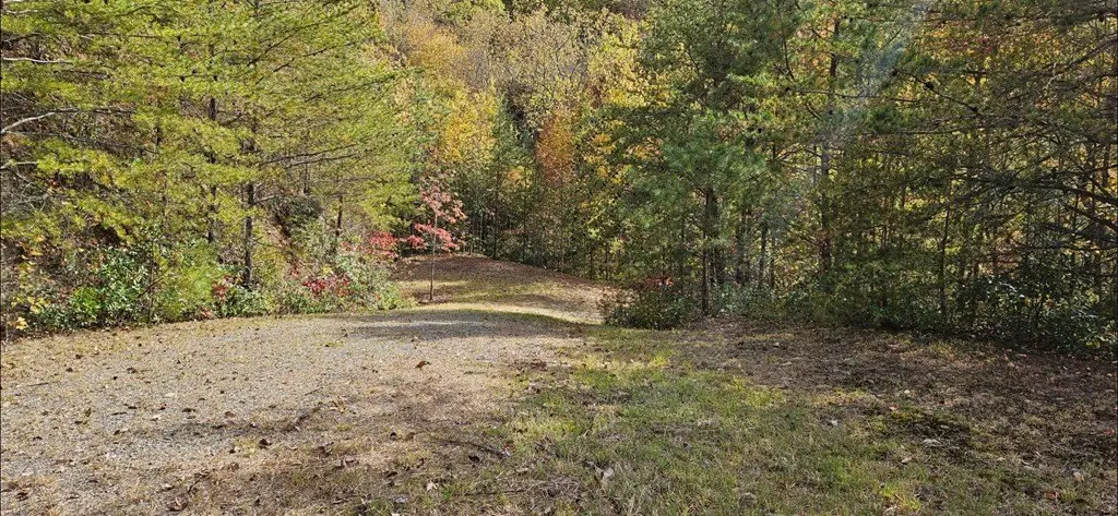 Picture 17