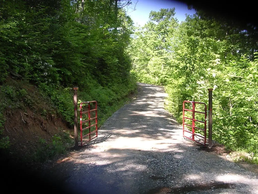Picture 4