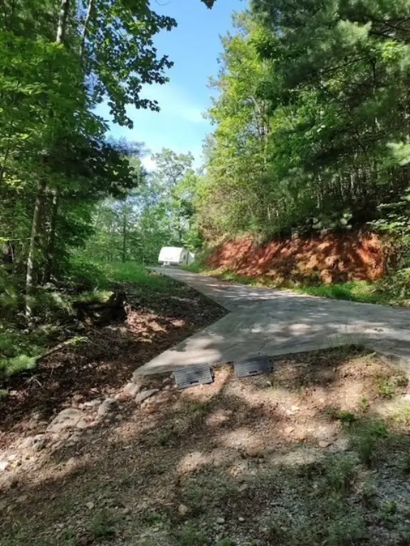 Picture 4