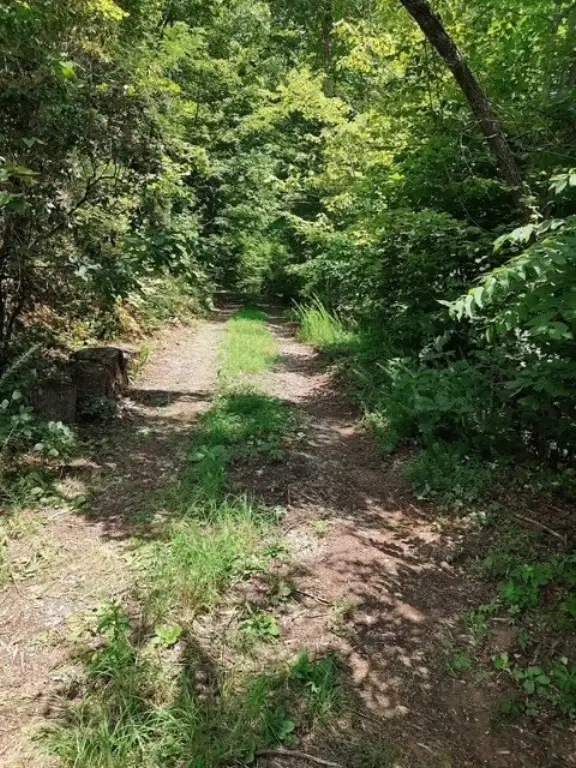Picture 3