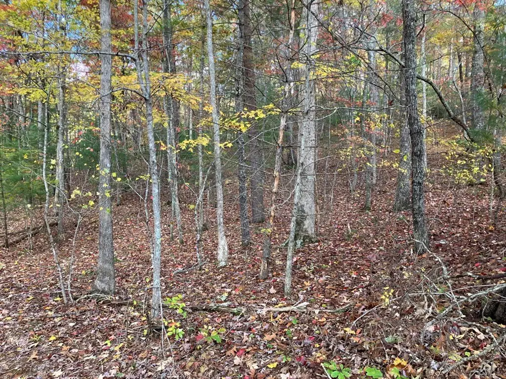Picture 23
