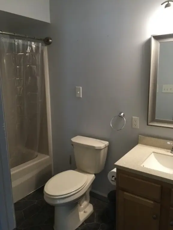 Picture 8