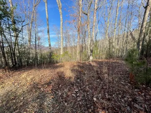 Hiawassee Vacant Lot Near Lake