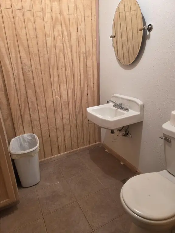 Picture 5