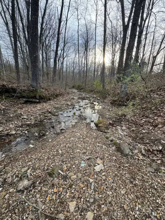 Picture 14