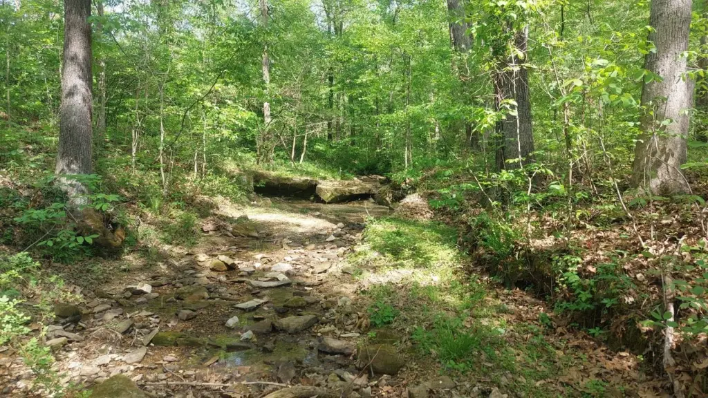 Picture 5