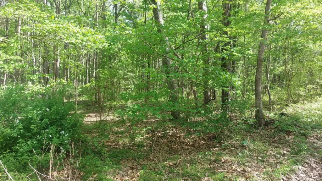 Picture 3