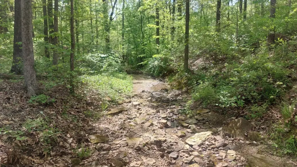 Picture 4