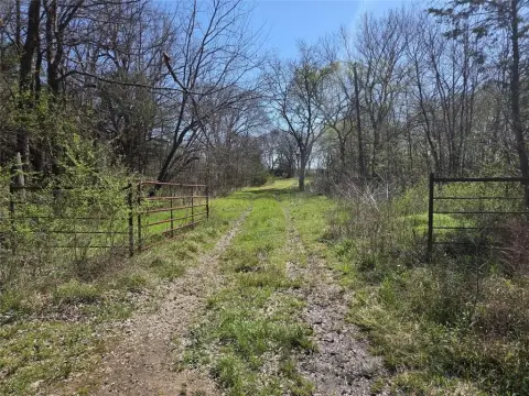 Honey Grove Unimproved Land Available