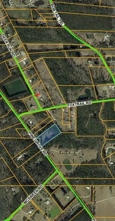 Picture 4