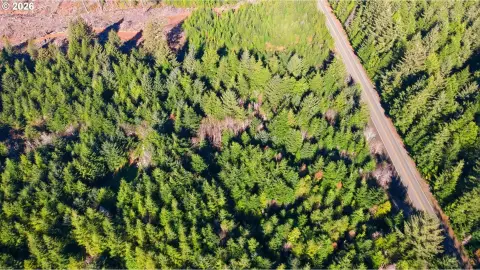 Heavily Wooded Land Near Coast