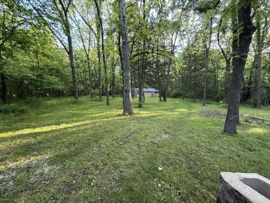 Picture 2