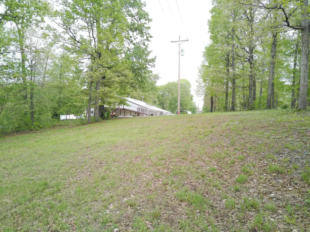 Picture 22