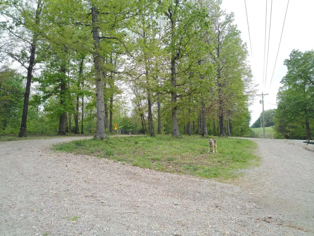 Picture 20