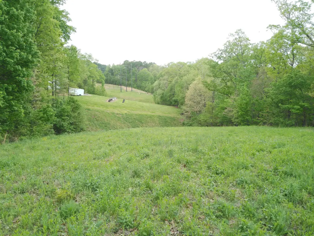 Picture 21