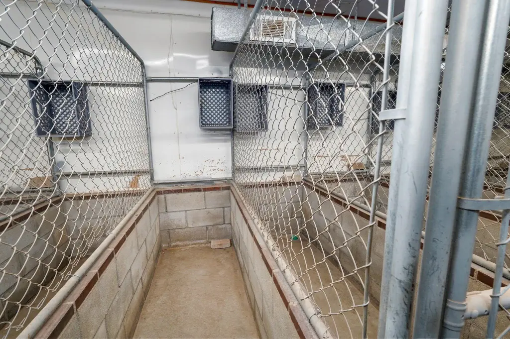 Picture 15