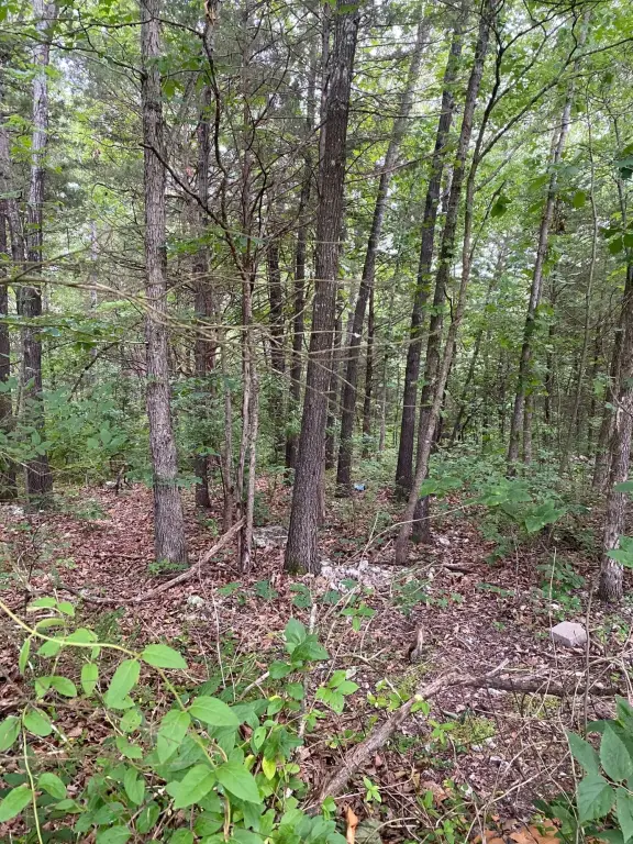Picture 4
