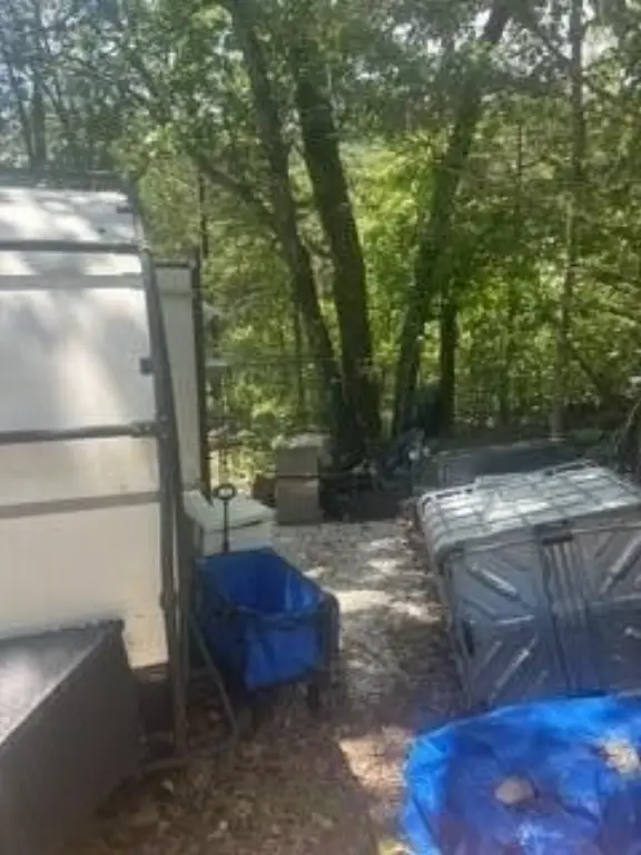 Picture 3