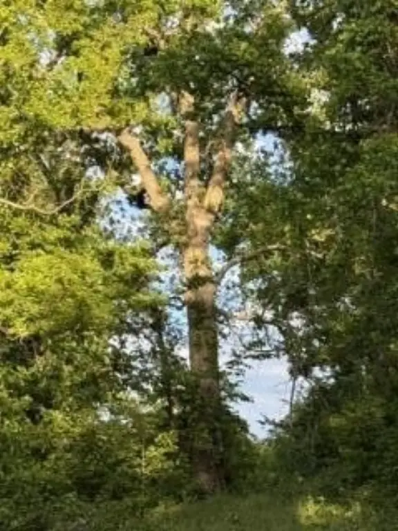 Picture 16