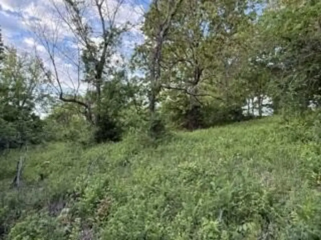 Picture 11