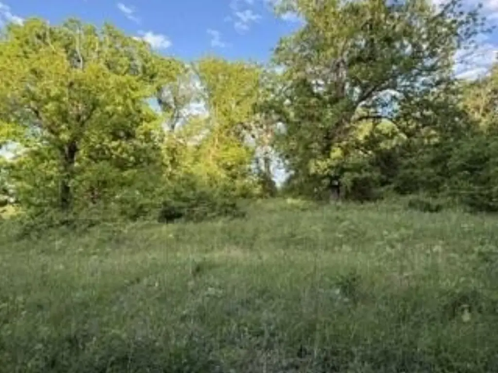 Picture 15