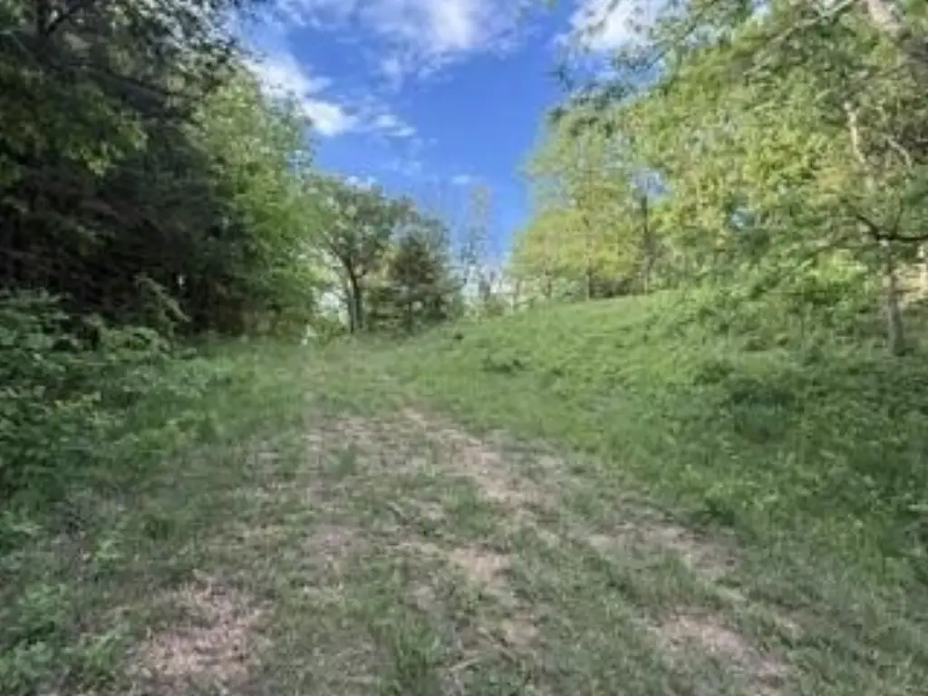 Picture 7