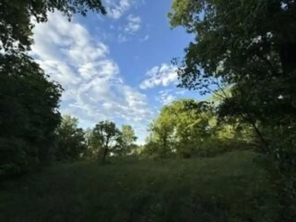 Picture 14