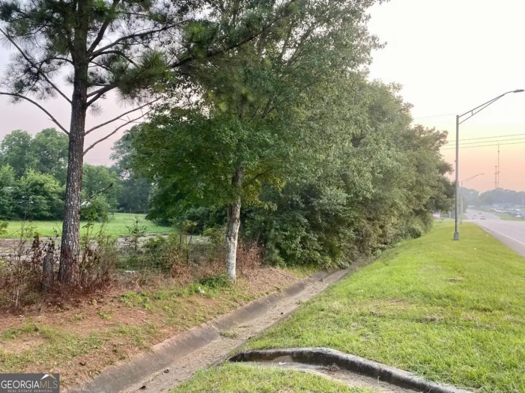 Picture 16
