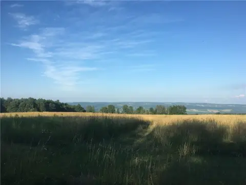 Land in Finger Lakes Country