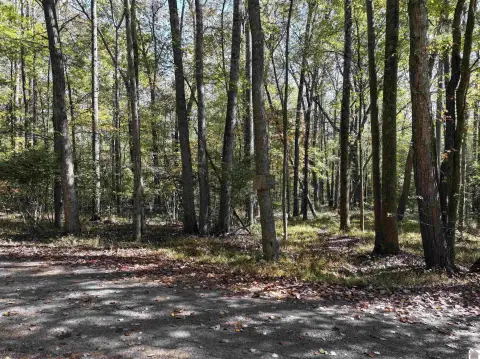 Murray, KY Camping Site