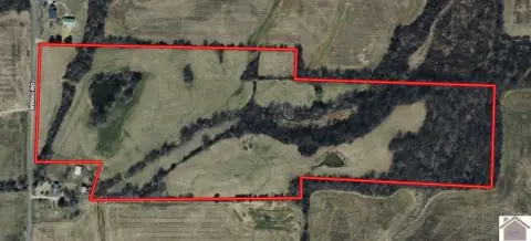 49 Acres in Wingo, Kentucky