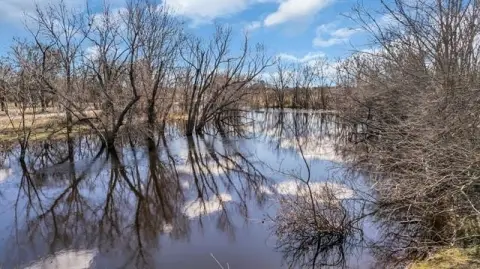 38 Acres Ideal Country Living