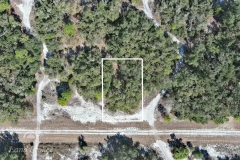 Vacant Lot in North Port