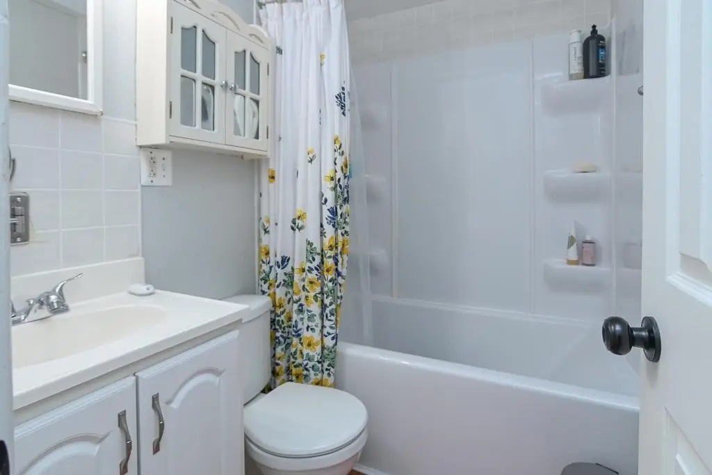 Picture 15