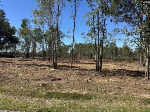 Pomaria Acreage with Utilities