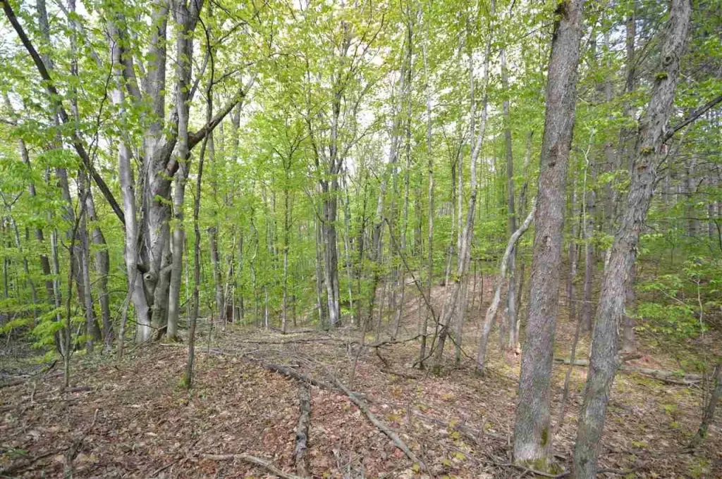 Picture 36