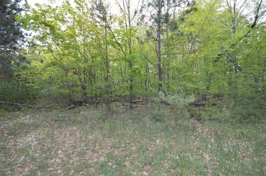 Picture 43
