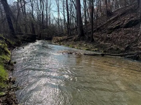 Northwest Georgia Land with Views