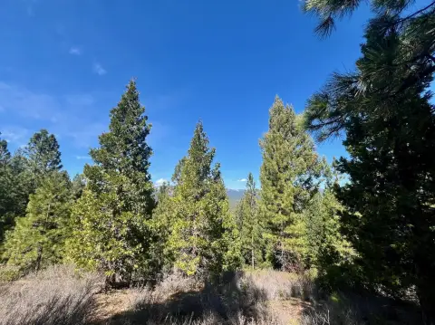 Portola, CA Single Family Lot