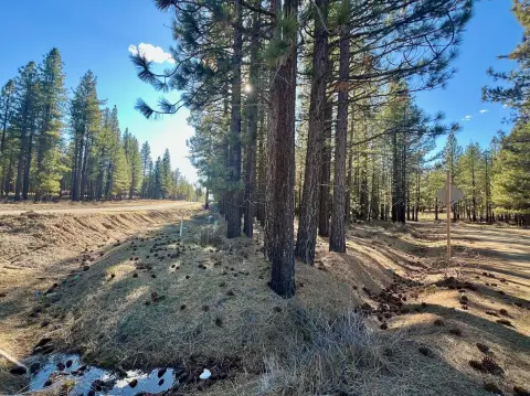 Delleker Land Parcel on Highway