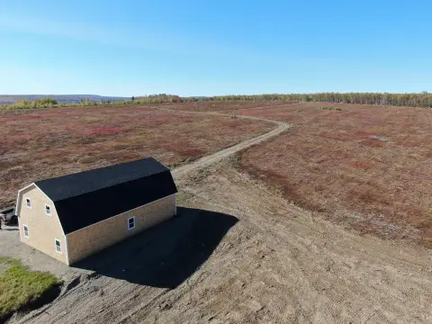 Picturesque Blueberry Fields of Charlotte, Maine