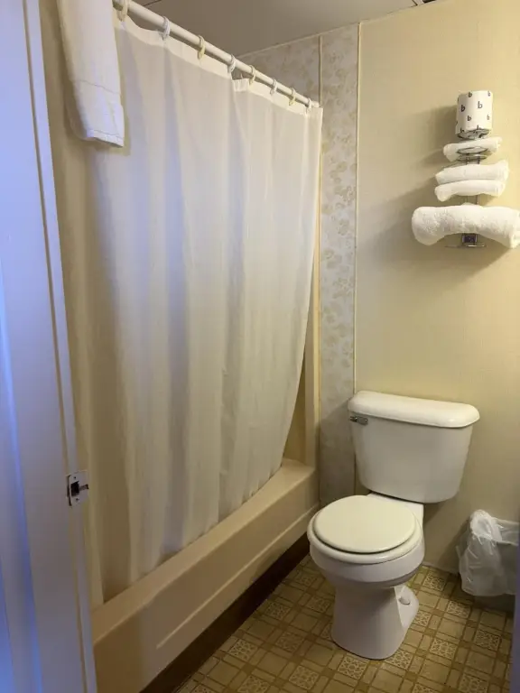 Picture 4