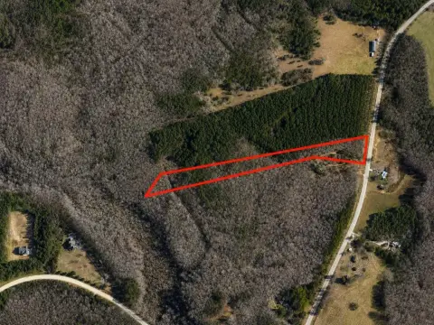 Wooded Hunting Land