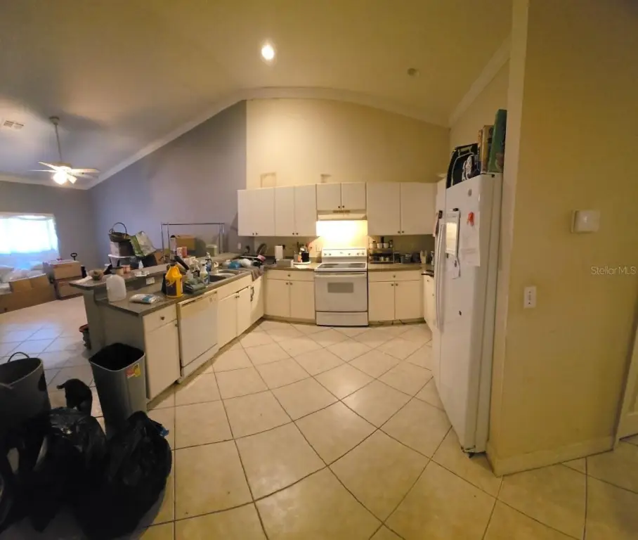 Picture 33